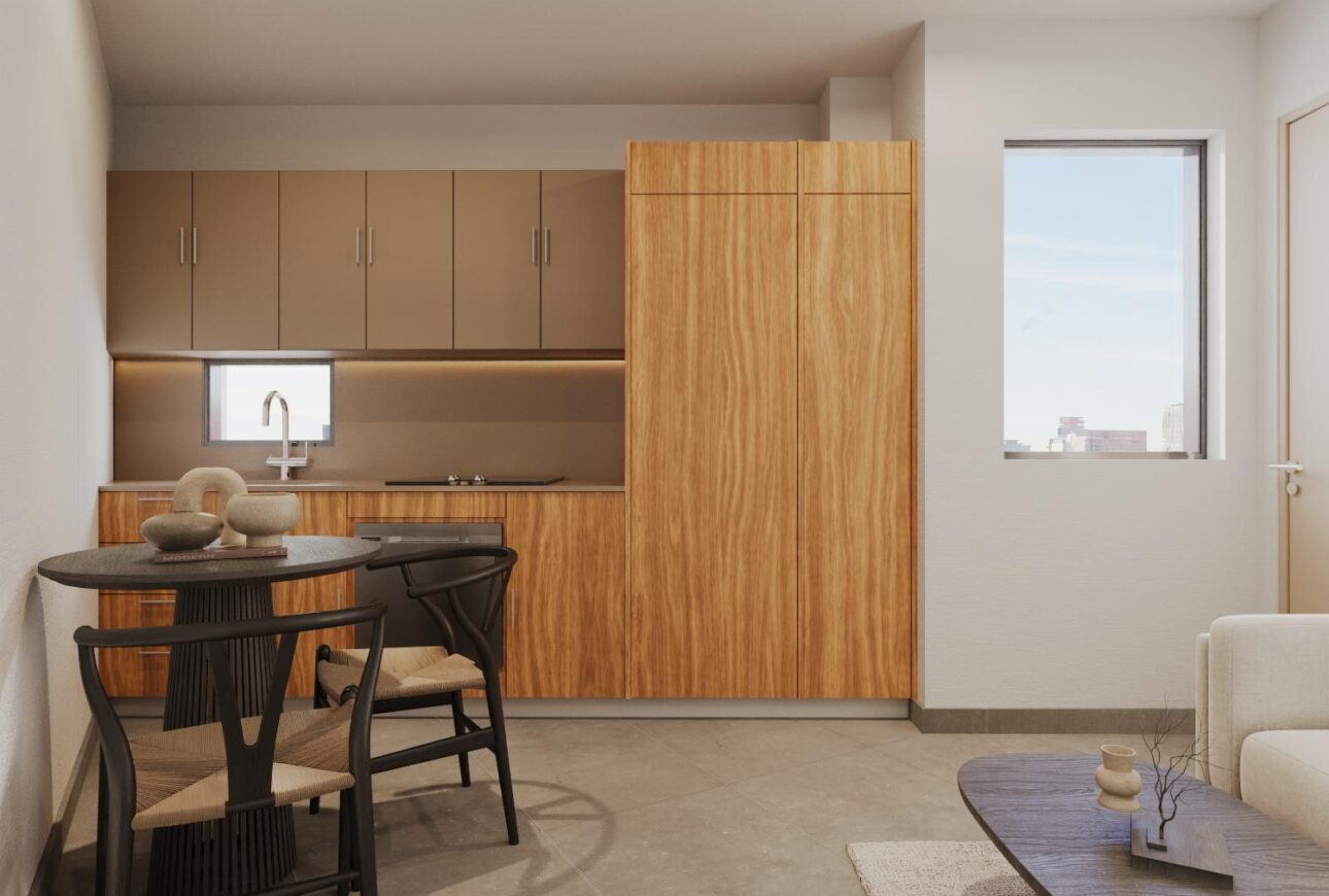 Trinity apartment kitchen detail